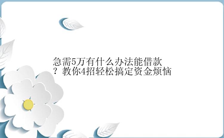 急需5万有什么办法能借款？教你4招轻松搞定资金烦恼