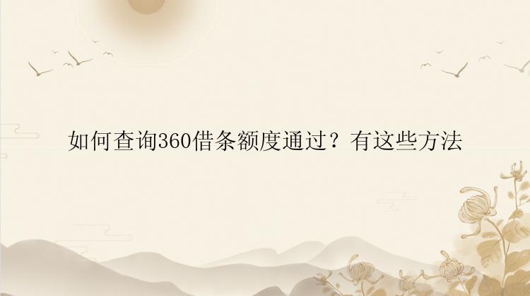 如何查询360借条额度通过？有这些方法