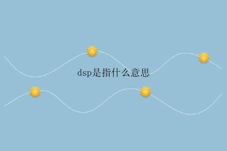 dsp是指什么意思