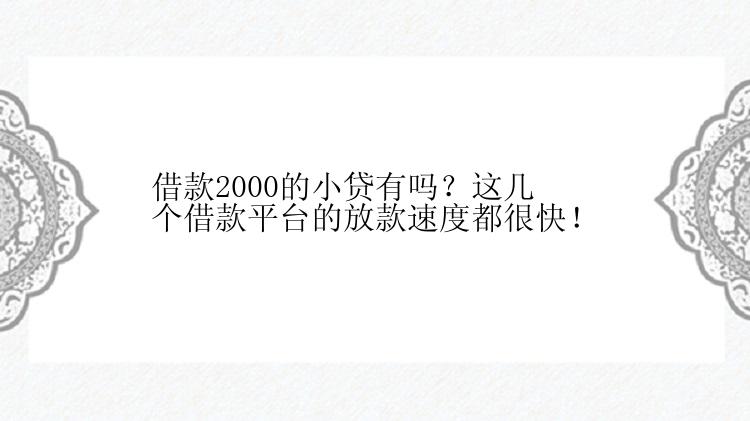 借款2000的小贷有吗？这几个借款平台的放款速度都很快！