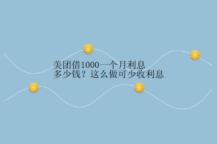 美团借1000一个月利息多少钱？这么做可少收利息