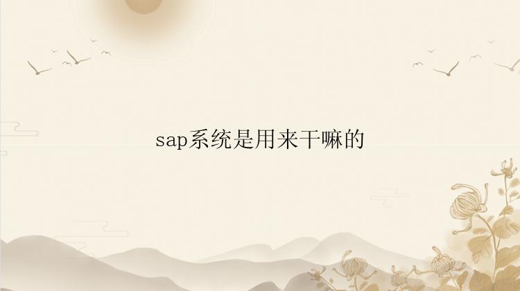 sap系统是用来干嘛的