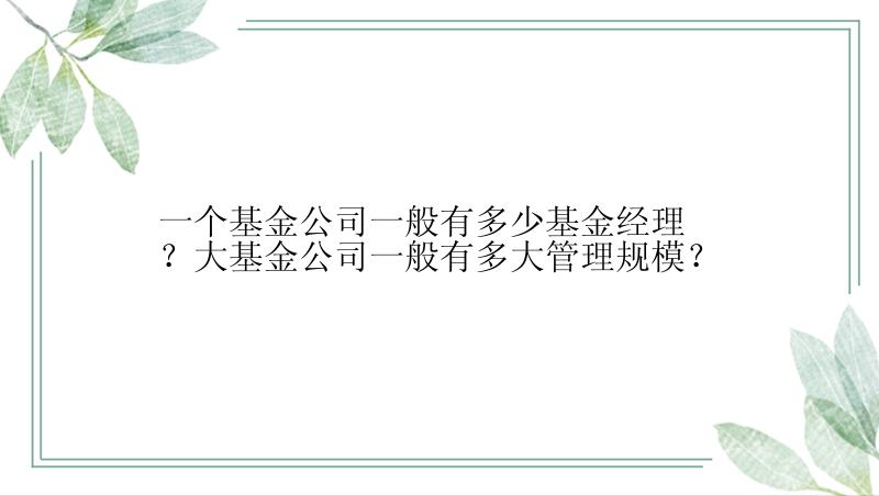 一个基金公司一般有多少基金经理？大基金公司一般有多大管理规模？