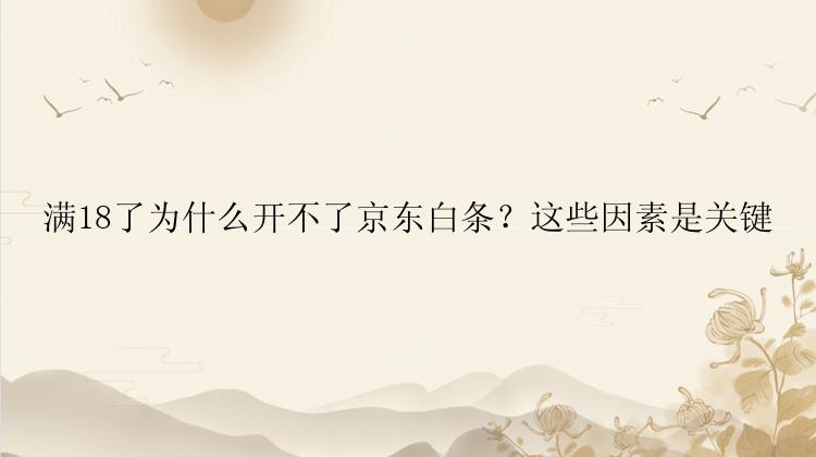 满18了为什么开不了京东白条？这些因素是关键