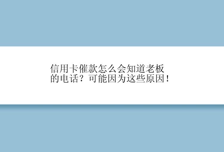 信用卡催款怎么会知道老板的电话？可能因为这些原因！