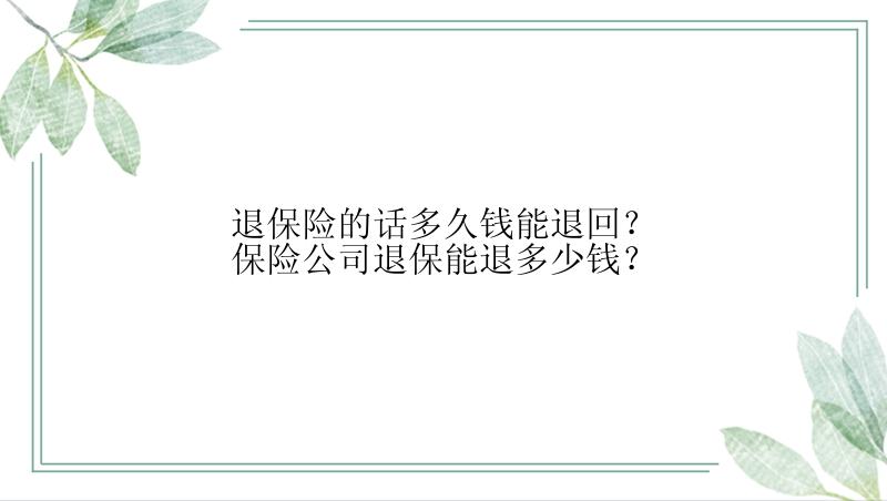 退保险的话多久钱能退回？保险公司退保能退多少钱？