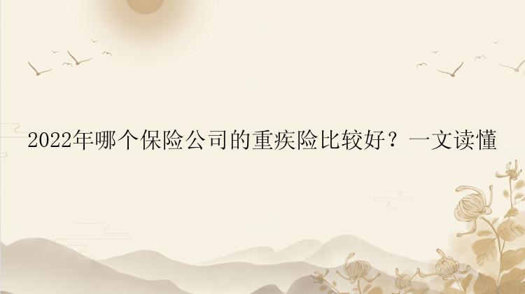 2022年哪个保险公司的重疾险比较好？一文读懂