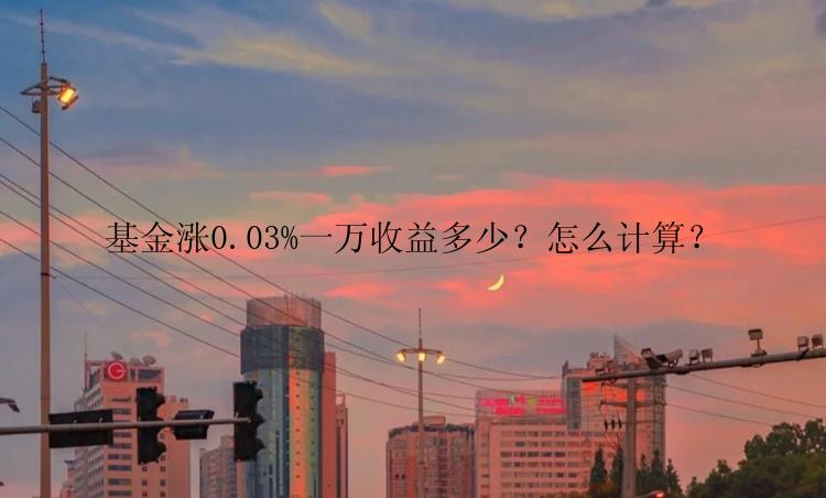 基金涨0.03%一万收益多少？怎么计算？