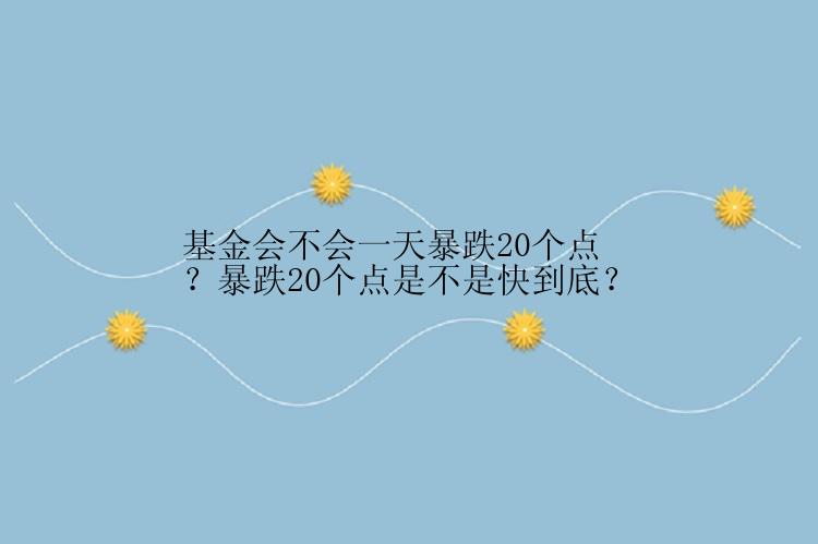 基金会不会一天暴跌20个点？暴跌20个点是不是快到底？