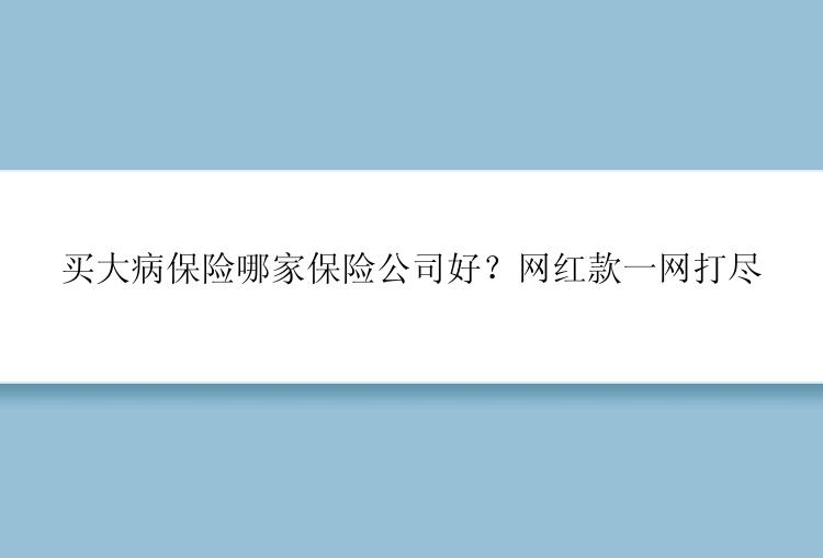 买大病保险哪家保险公司好？网红款一网打尽