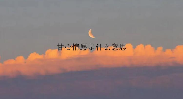 甘心情愿是什么意思