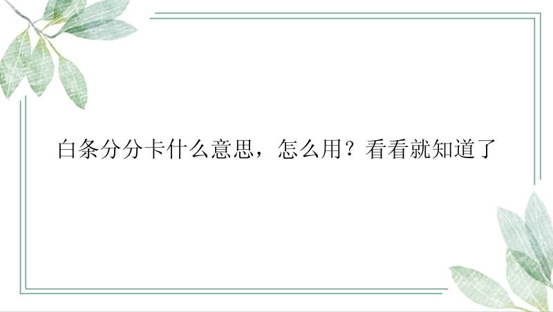 白条分分卡什么意思，怎么用？看看就知道了