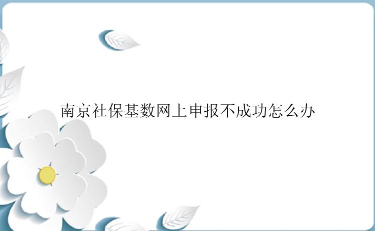 南京社保基数网上申报不成功怎么办