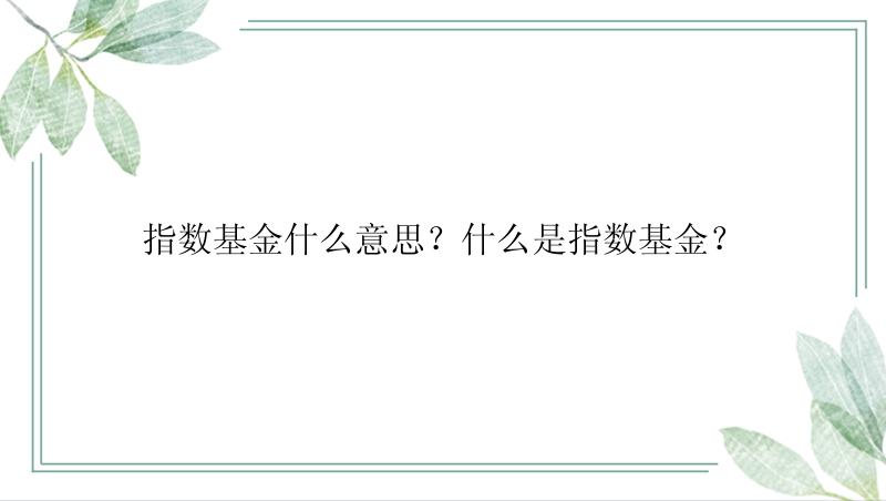 指数基金什么意思？什么是指数基金？