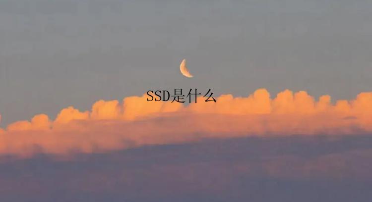 SSD是什么 