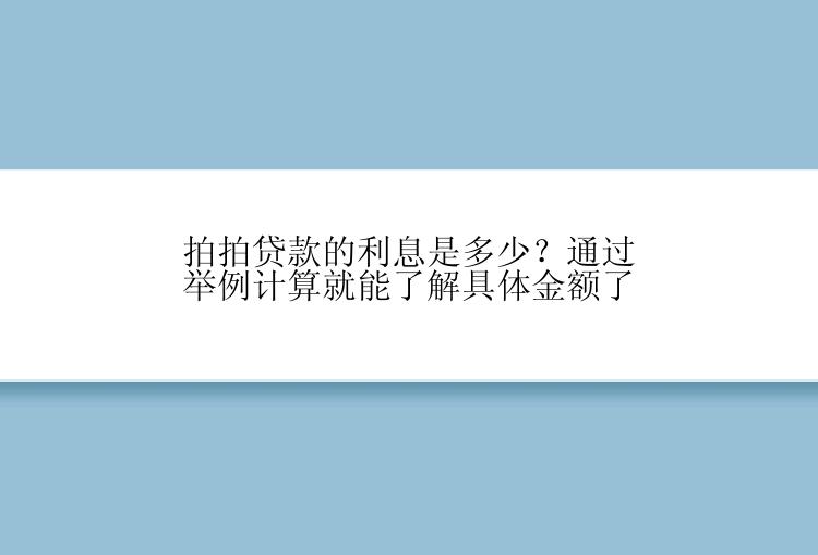 拍拍贷款的利息是多少？通过举例计算就能了解具体金额了