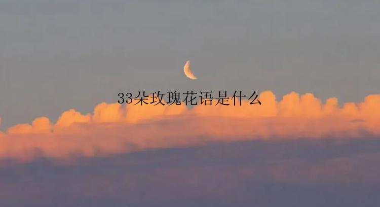 33朵玫瑰花语是什么