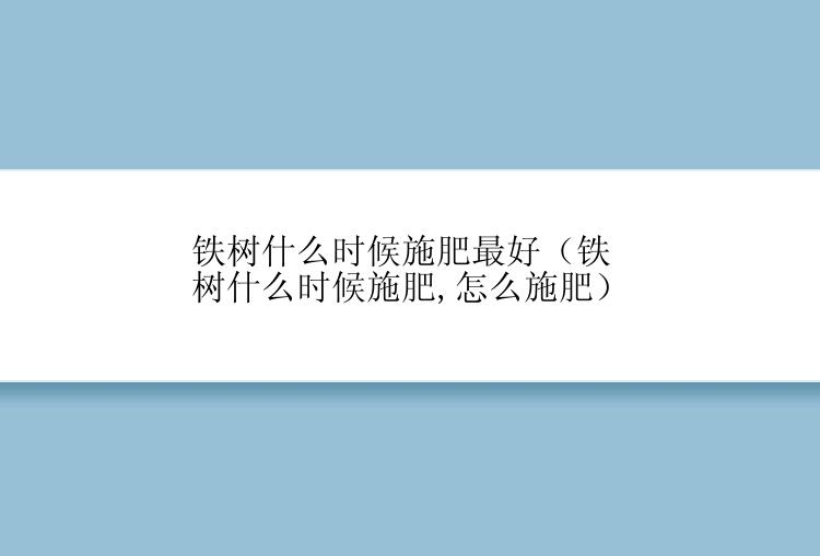 铁树什么时候施肥最好（铁树什么时候施肥,怎么施肥）