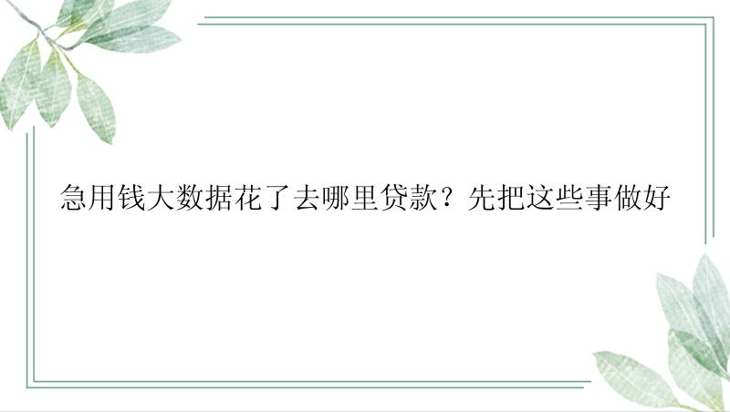 急用钱大数据花了去哪里贷款？先把这些事做好