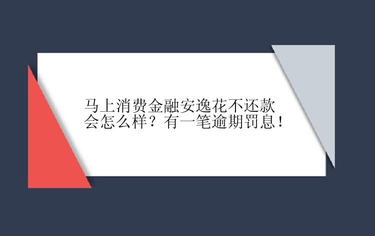 马上消费金融安逸花不还款会怎么样？有一笔逾期罚息！