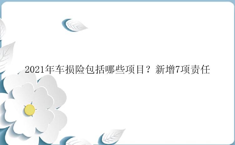2021年车损险包括哪些项目？新增7项责任