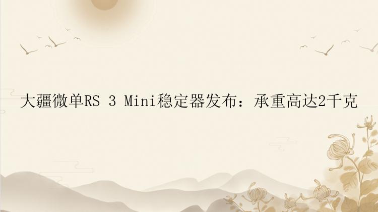 大疆微单RS 3 Mini稳定器发布：承重高达2千克