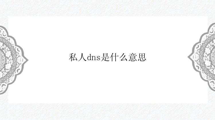 私人dns是什么意思