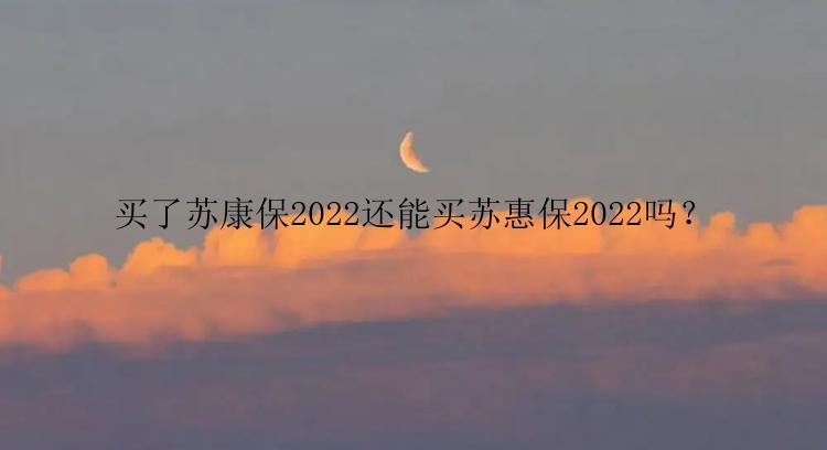 买了苏康保2022还能买苏惠保2022吗？