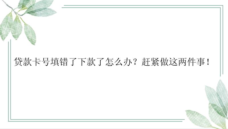 贷款卡号填错了下款了怎么办？赶紧做这两件事！