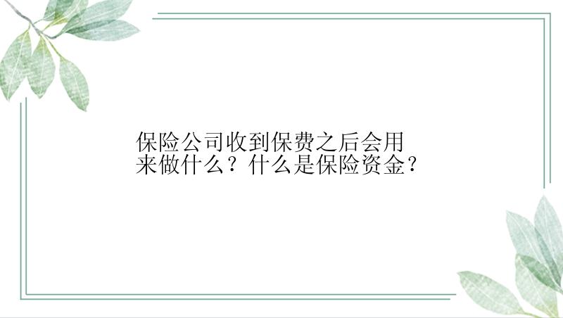 保险公司收到保费之后会用来做什么？什么是保险资金？