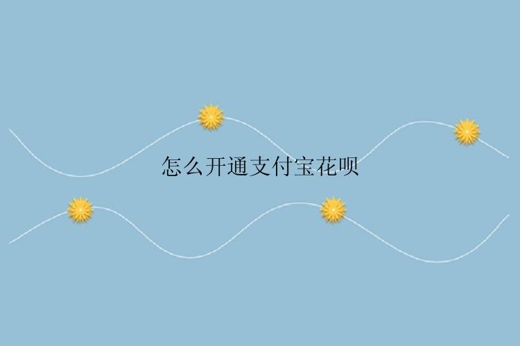 怎么开通支付宝花呗