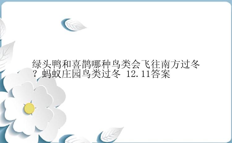 绿头鸭和喜鹊哪种鸟类会飞往南方过冬？蚂蚁庄园鸟类过冬 12.11答案