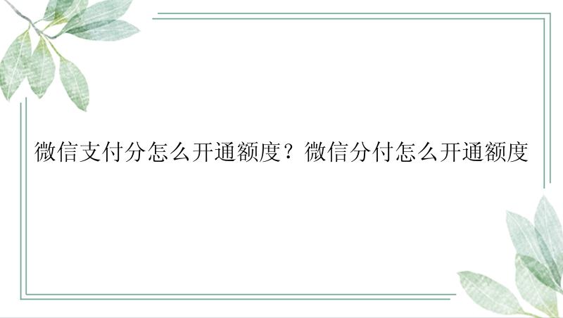 微信支付分怎么开通额度？微信分付怎么开通额度