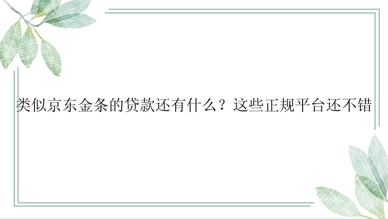 类似京东金条的贷款还有什么？这些正规平台还不错