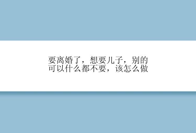 要离婚了，想要儿子，别的可以什么都不要，该怎么做