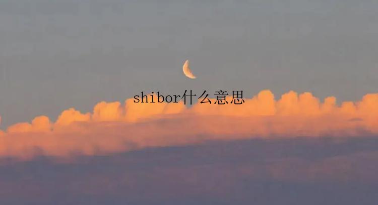 shibor什么意思