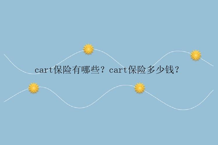 cart保险有哪些？cart保险多少钱？