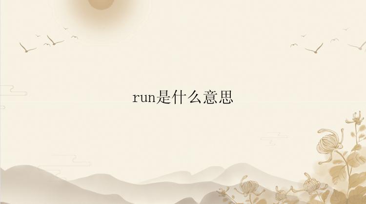 run是什么意思