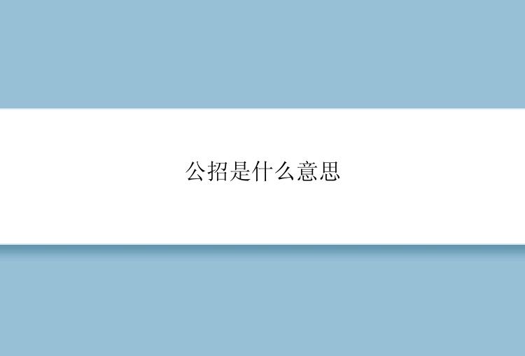 公招是什么意思