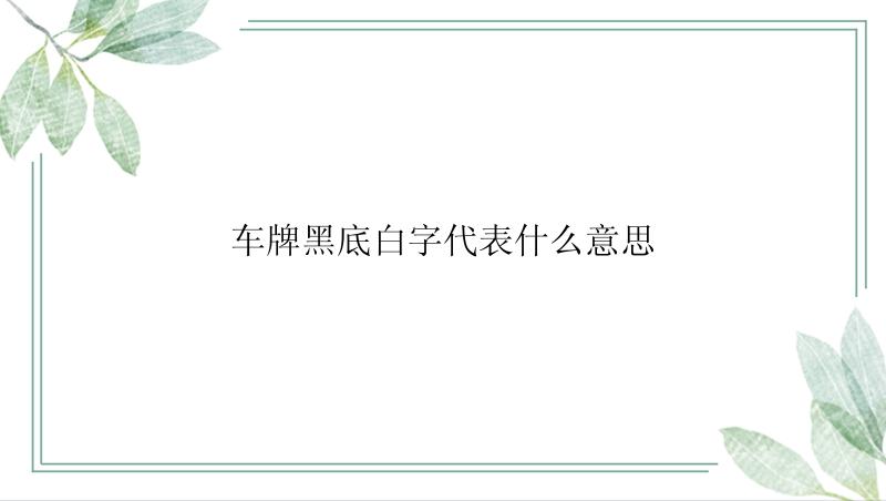 车牌黑底白字代表什么意思