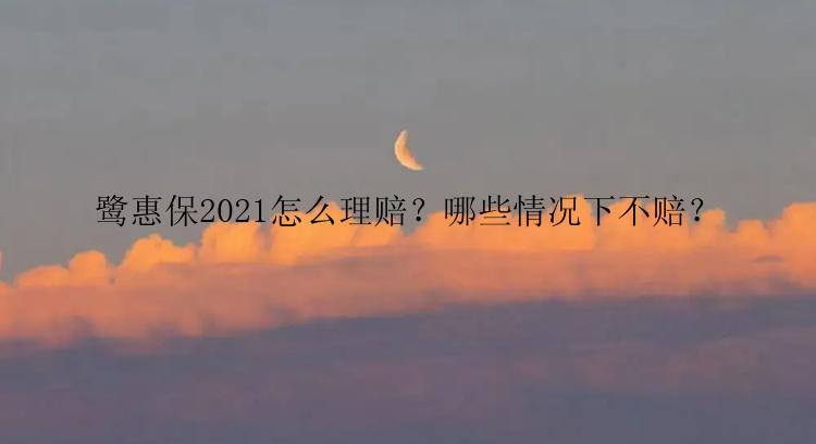 鹭惠保2021怎么理赔？哪些情况下不赔？