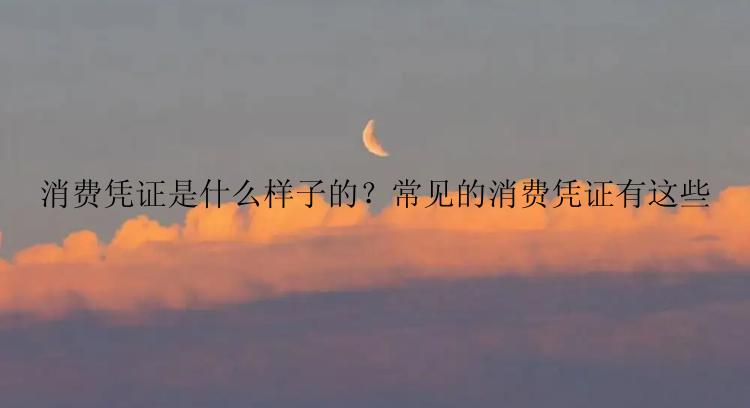 消费凭证是什么样子的？常见的消费凭证有这些