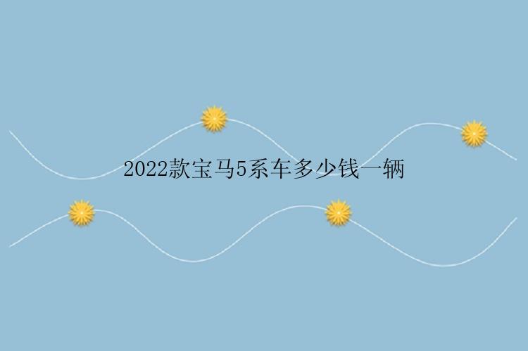 2022款宝马5系车多少钱一辆