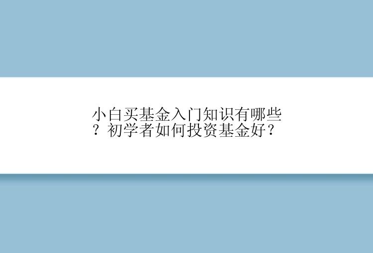 小白买基金入门知识有哪些？初学者如何投资基金好？