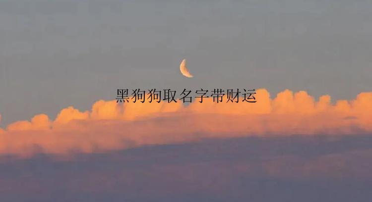 黑狗狗取名字带财运