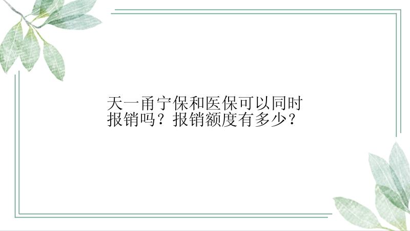 天一甬宁保和医保可以同时报销吗？报销额度有多少？