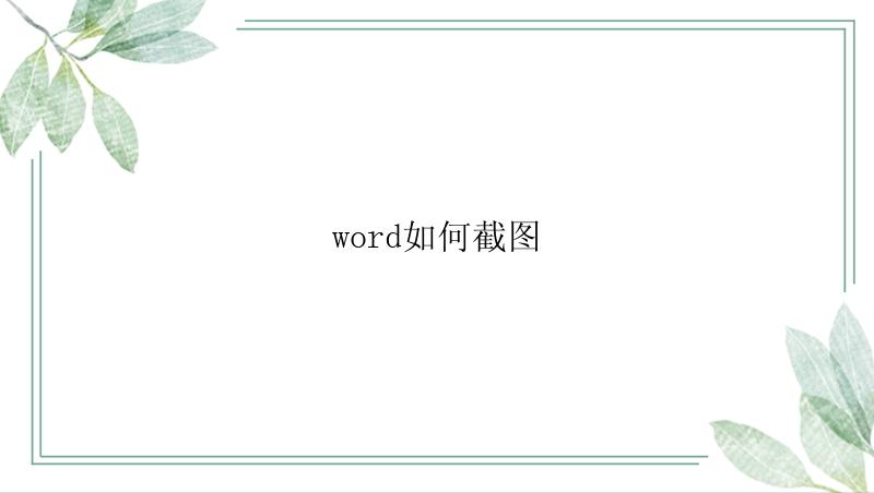 word如何截图