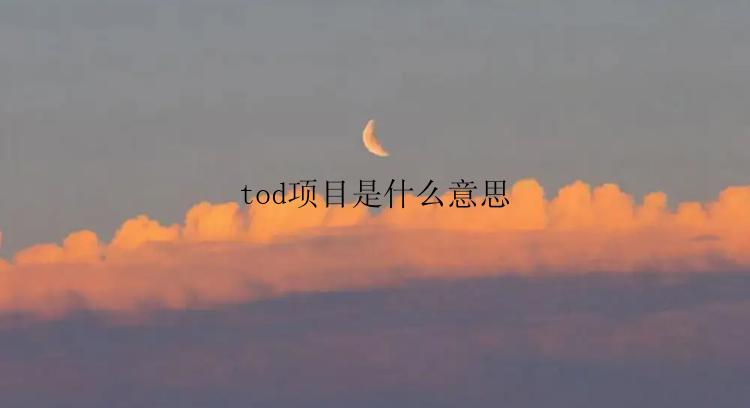 tod项目是什么意思