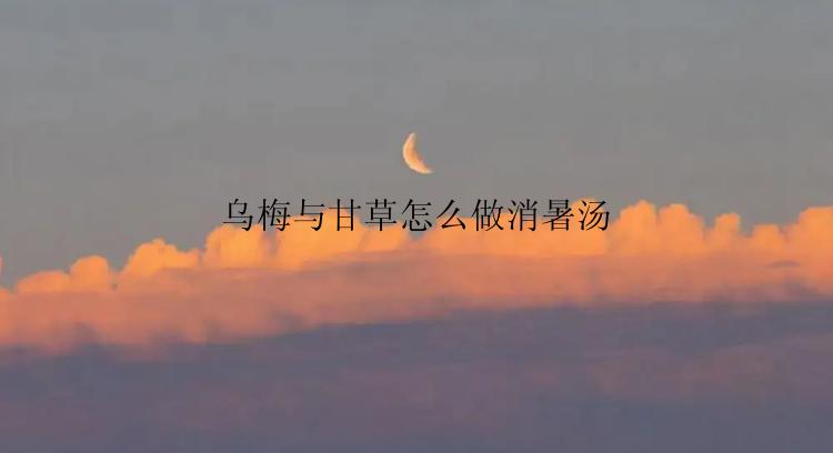 乌梅与甘草怎么做消暑汤