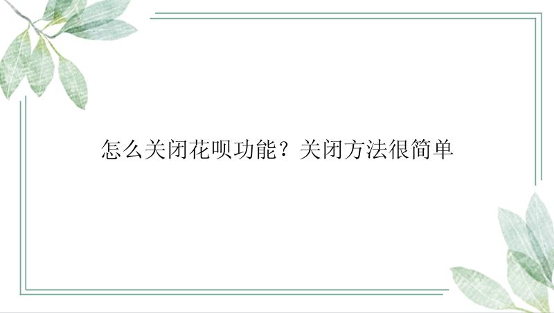 怎么关闭花呗功能？关闭方法很简单